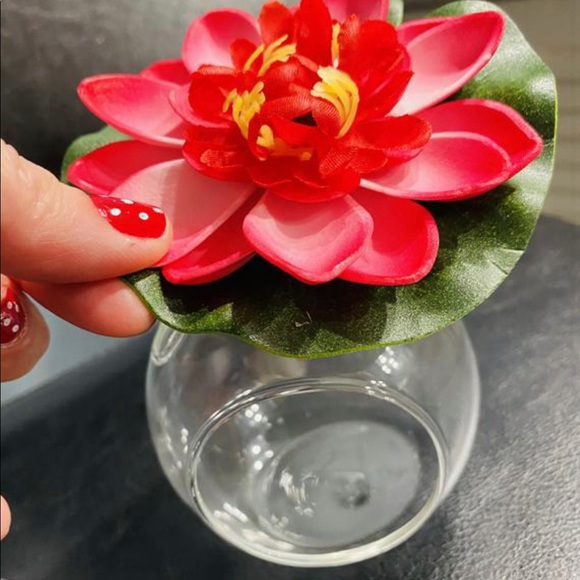 Betta fish feeding globe for frozen foods - Picture 7 of 12